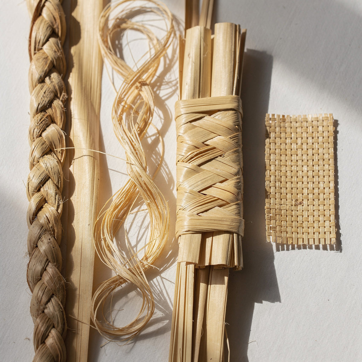 Doum palm, raffia and straw natural fibers